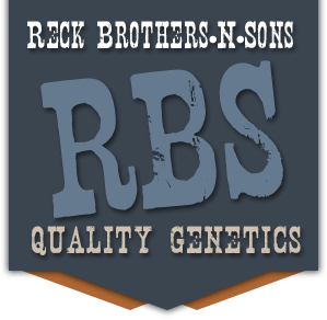 Reck Brothers